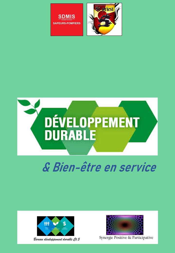 1 - VF 16-06-17 Analyse enquête Développement durable